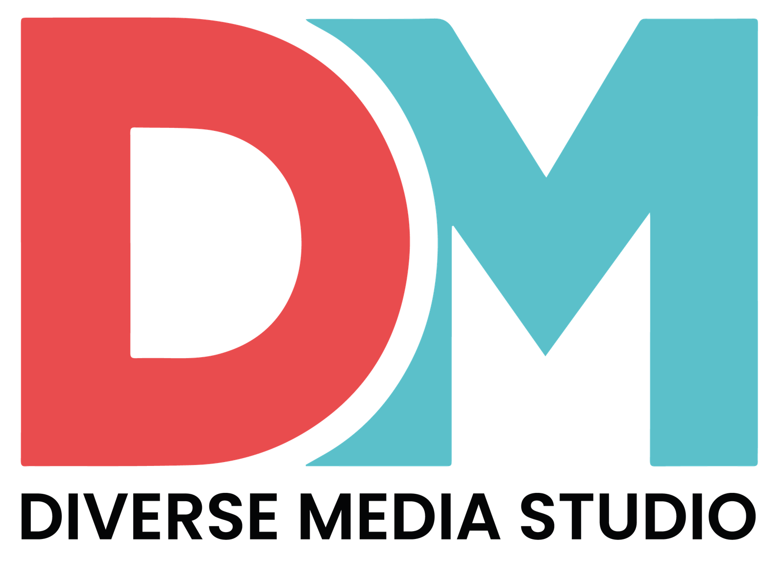 DM Studio